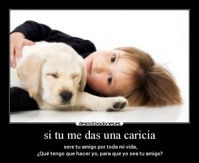 carteles funny dogz desmotivaciones