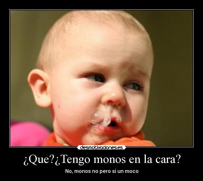 ¿Que?¿Tengo monos en la cara? -