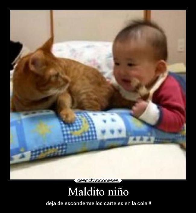 Maldito niño - deja de esconderme los carteles en la cola!!!