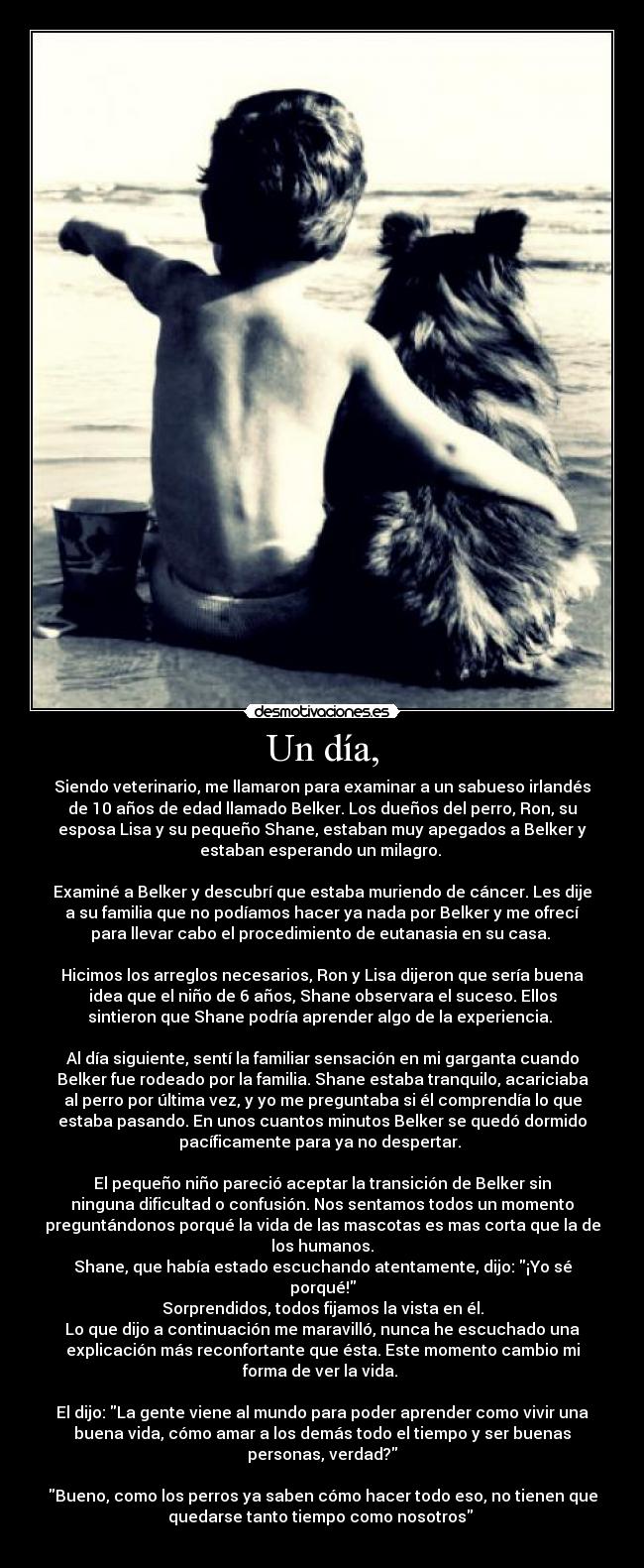 Un día, - Siendo veterinario, me llamaron para examinar a un sabueso irlandés
de 10 años de edad llamado Belker. Los dueños del perro, Ron, su
esposa Lisa y su pequeño Shane, estaban muy apegados a Belker y
estaban esperando un milagro.
Examiné a Belker y descubrí que estaba muriendo de cáncer. Les dije
a su familia que no podíamos hacer ya nada por Belker y me ofrecí
para llevar cabo el procedimiento de eutanasia en su casa.
Hicimos los arreglos necesarios, Ron y Lisa dijeron que sería buena
idea que el niño de 6 años, Shane observara el suceso. Ellos
sintieron que Shane podría aprender algo de la experiencia.
Al día siguiente, sentí la familiar sensación en mi garganta cuando
Belker fue rodeado por la familia. Shane estaba tranquilo, acariciaba
al perro por última vez, y yo me preguntaba si él comprendía lo que
estaba pasando. En unos cuantos minutos Belker se quedó dormido
pacíficamente para ya no despertar.
El pequeño niño pareció aceptar la transición de Belker sin
ninguna dificultad o confusión. Nos sentamos todos un momento
preguntándonos porqué la vida de las mascotas es mas corta que la de
los humanos.
Shane, que había estado escuchando atentamente, dijo: ¡Yo sé
porqué!
Sorprendidos, todos fijamos la vista en él.
Lo que dijo a continuación me maravilló, nunca he escuchado una
explicación más reconfortante que ésta. Este momento cambio mi
forma de ver la vida.
El dijo: La gente viene al mundo para poder aprender como vivir una
buena vida, cómo amar a los demás todo el tiempo y ser buenas
personas, verdad?
Bueno, como los perros ya saben cómo hacer todo eso, no tienen que
quedarse tanto tiempo como nosotros