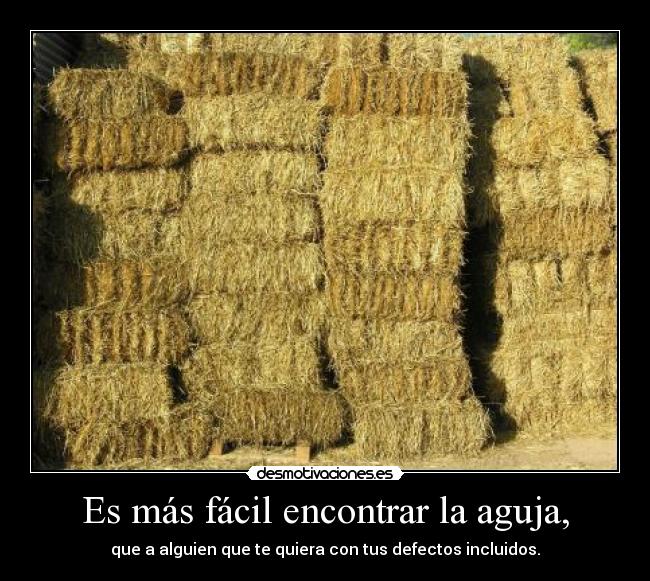 Es más fácil encontrar la aguja, - que a alguien que te quiera con tus defectos incluidos.