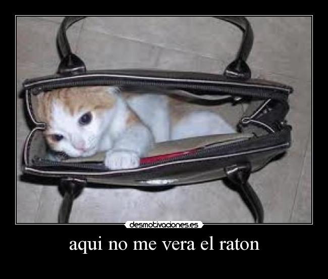 aqui no me vera el raton - 