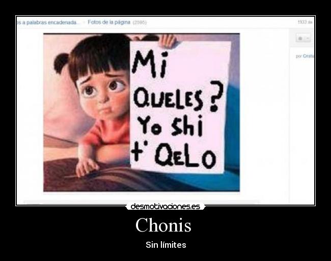 carteles chonis limites desmotivaciones