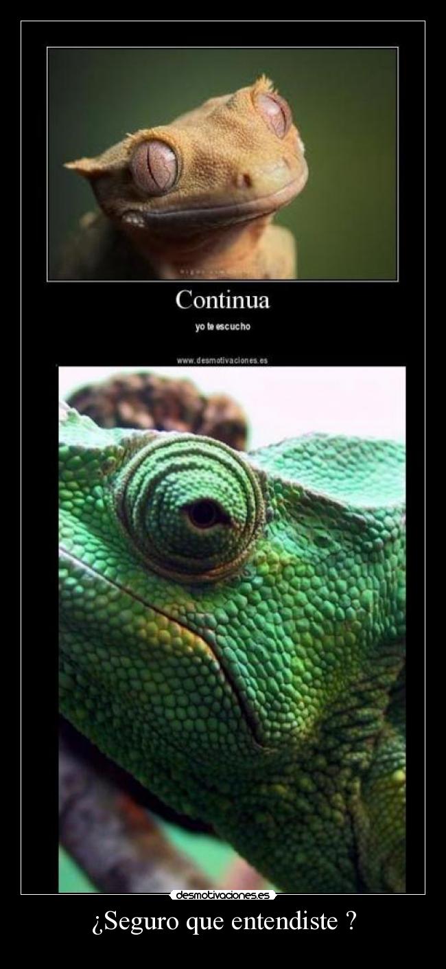 ¿Seguro que entendiste ? - 