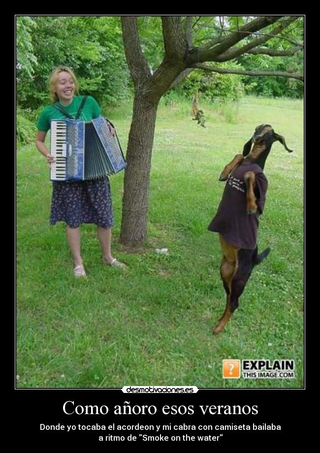 Como añoro esos veranos - Donde yo tocaba el acordeon y mi cabra con camiseta bailaba
a ritmo de Smoke on the water