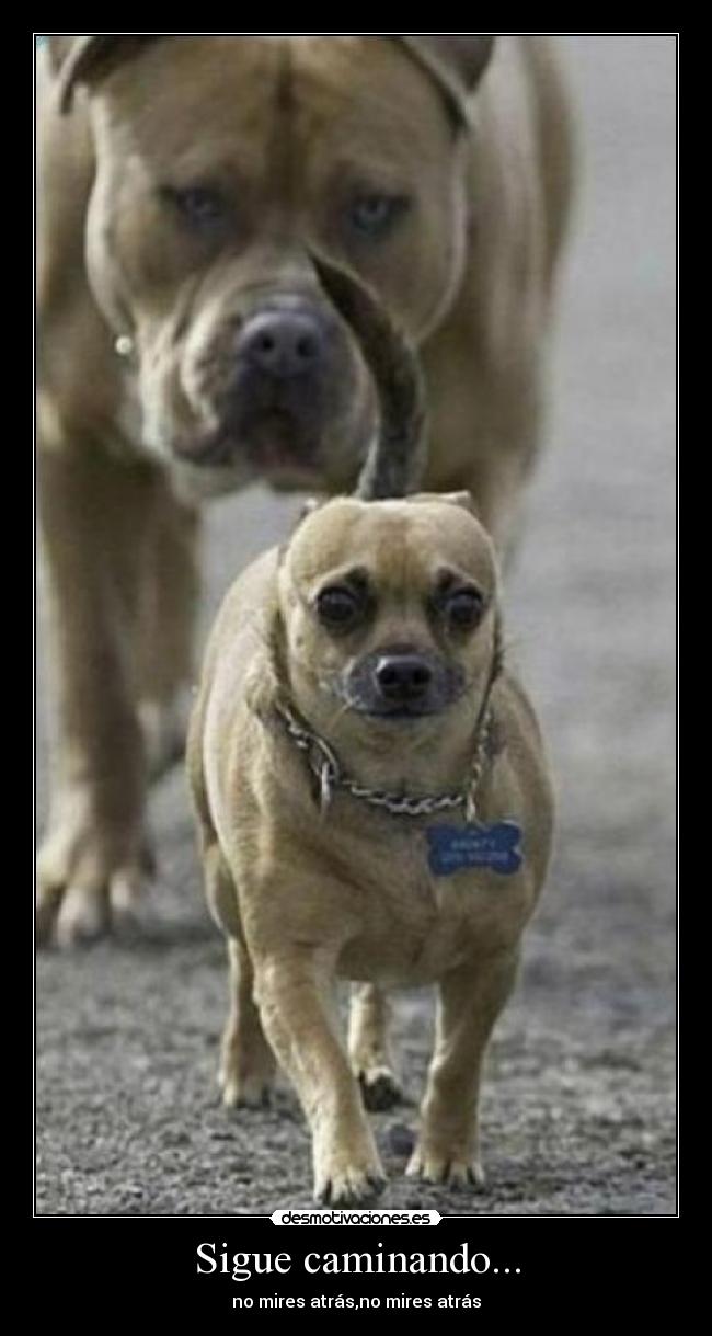 Sigue caminando... -