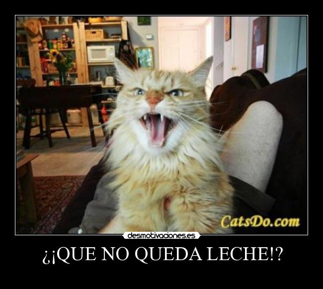 ¿¡QUE NO QUEDA LECHE!? - 