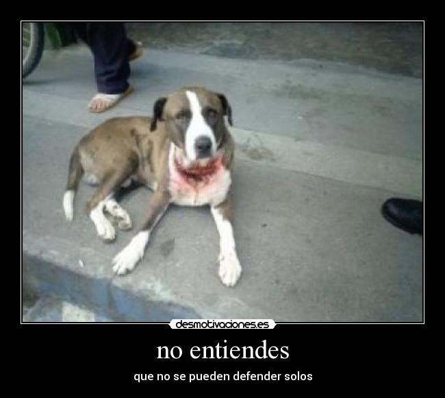 no entiendes -