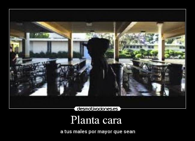 Planta cara - a tus males por mayor que sean