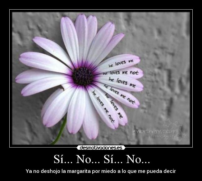 Sí... No... Sí... No... -