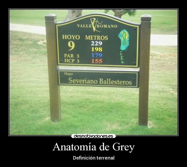 carteles anatomia grey desmotivaciones