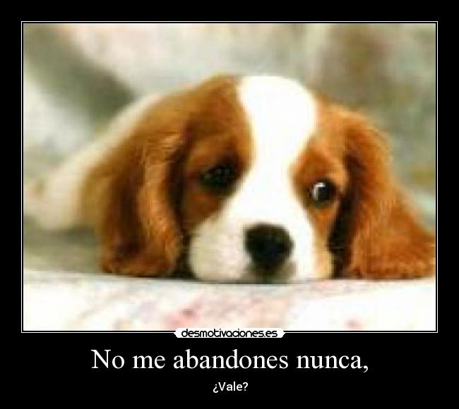 No me abandones nunca, -