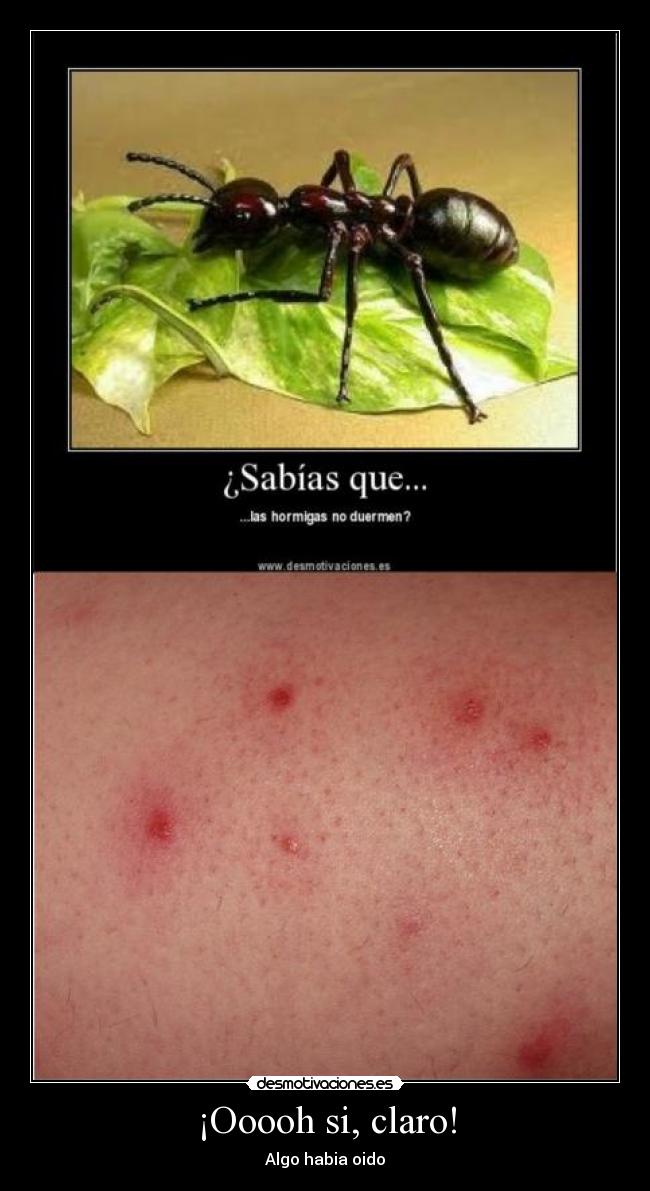 ¡Ooooh si, claro! - Algo habia oido