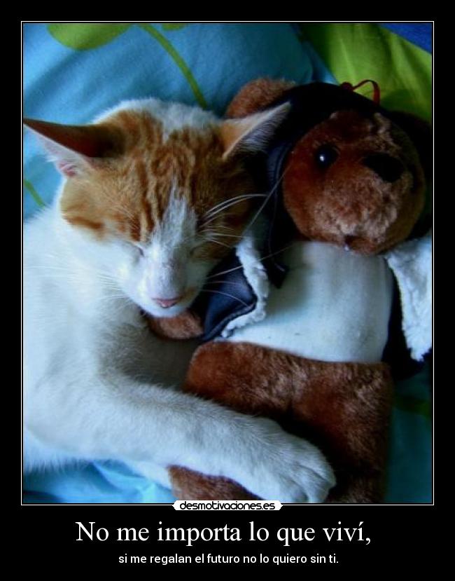 No me importa lo que viví, - si me regalan el futuro no lo quiero sin ti.