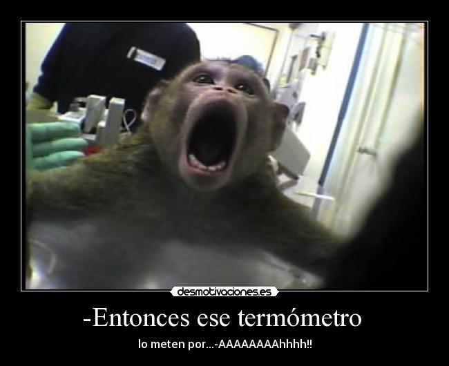 carteles klohahaxd34 desmotivaciones