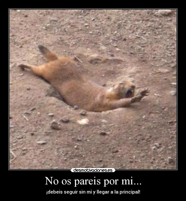 No os pareis por mi... - ¡debeis seguir sin mi y llegar a la principal!