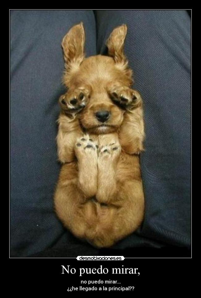 No puedo mirar, - 