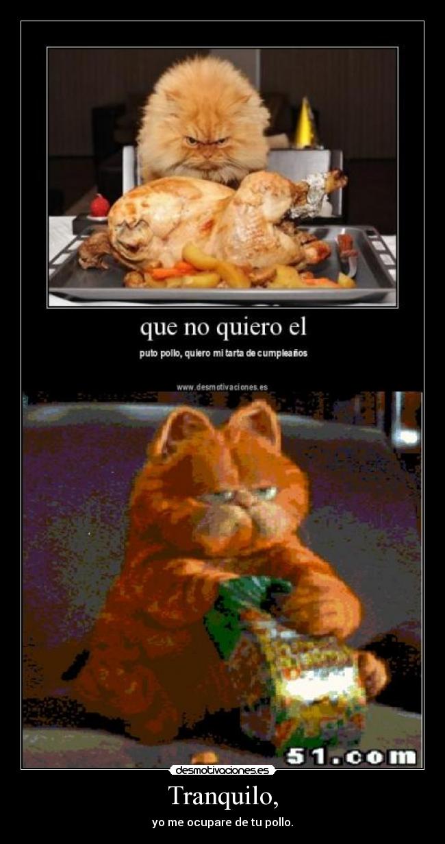 Tranquilo, - yo me ocupare de tu pollo.