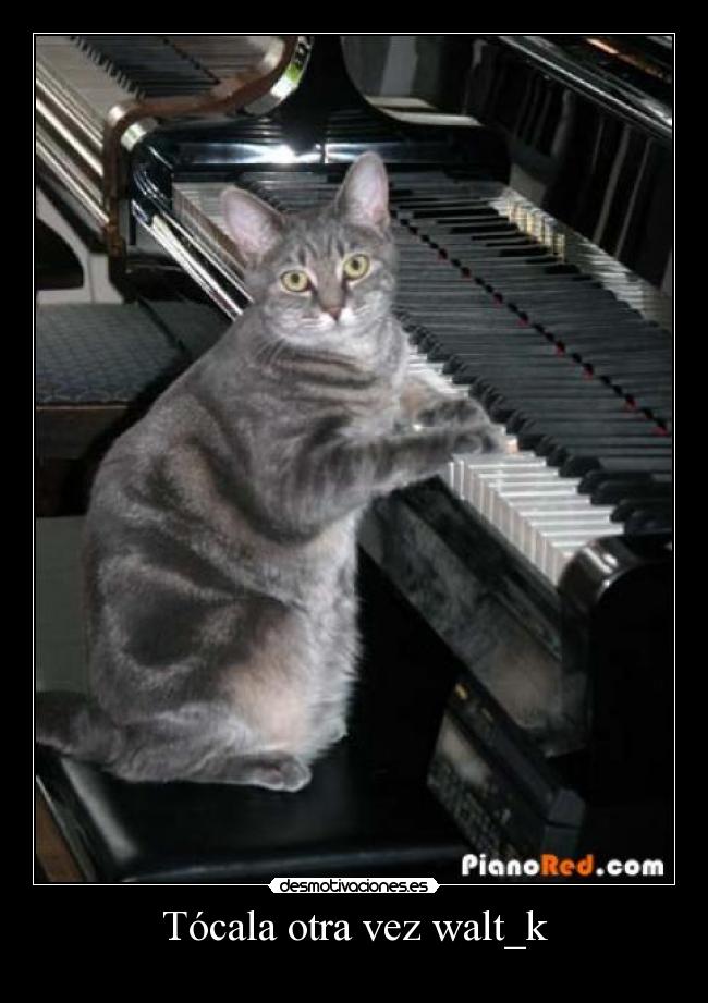 Tócala otra vez walt_k -