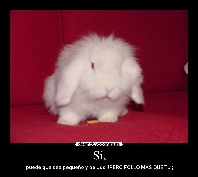 Si, - puede que sea pequeño y peludo !PERO FOLLO MAS QUE TU ¡