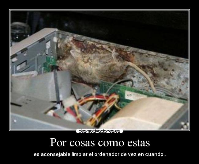 Por cosas como estas -