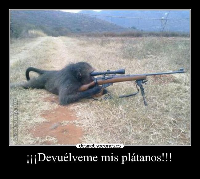 ¡¡¡Devuélveme mis plátanos!!! -