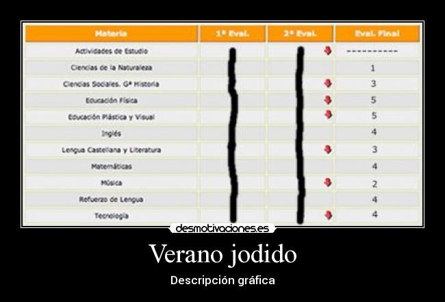 Verano jodido - Descripción gráfica