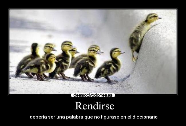  Rendirse - 