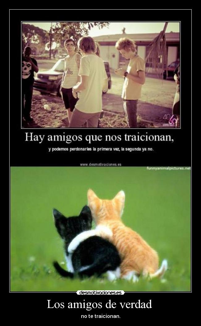 Los amigos de verdad - no te traicionan.