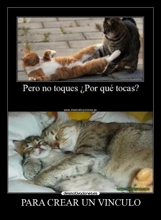 carteles para crear vinculo desmotivaciones