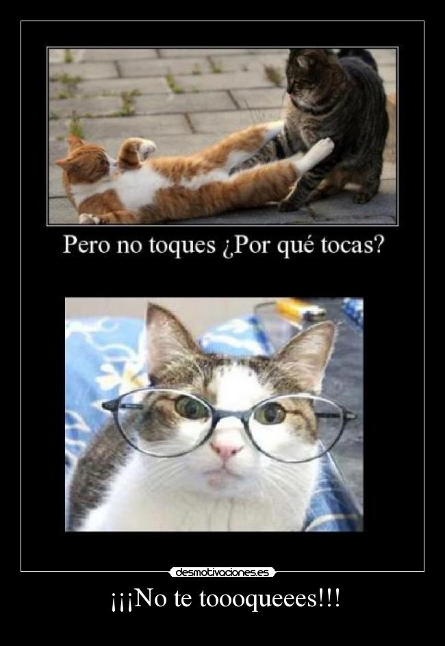 ¡¡¡No te toooqueees!!! -
