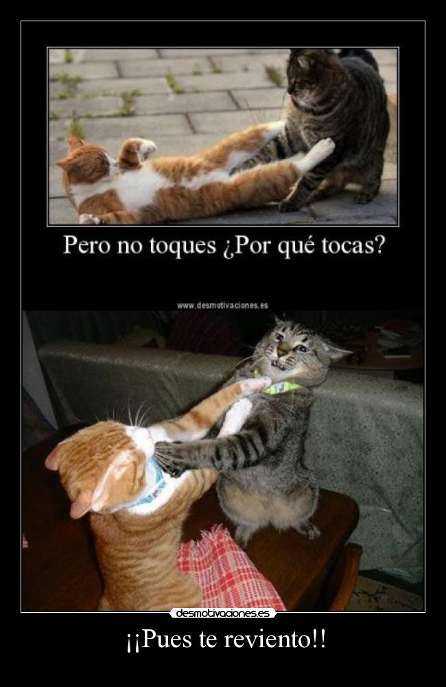 ¡¡Pues te reviento!! - 