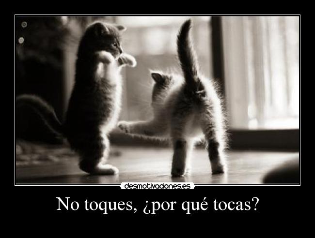 No toques, ¿por qué tocas? - 