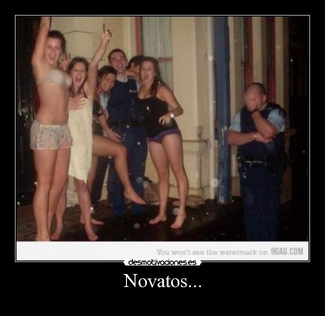 Novatos... - 