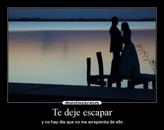 Te deje escapar - 