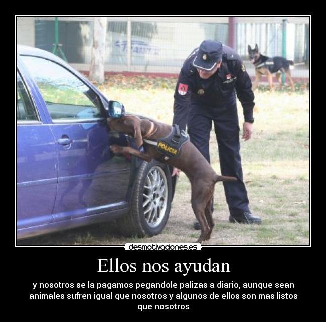 carteles miguelitonana1994 desmotivaciones