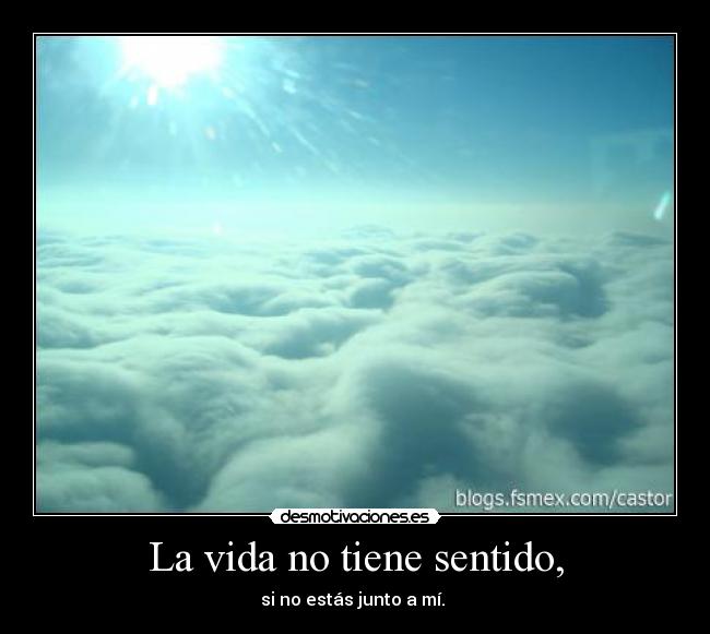 La vida no tiene sentido, -