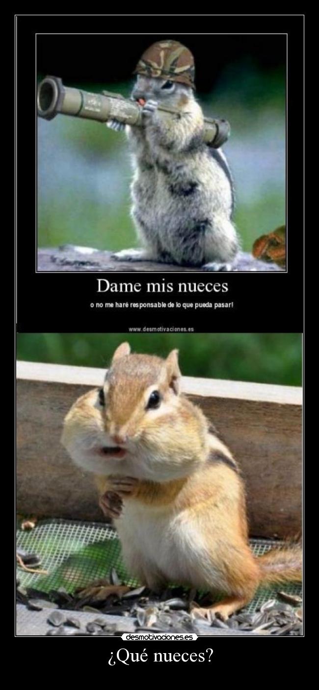 carteles que nueces desmotivaciones