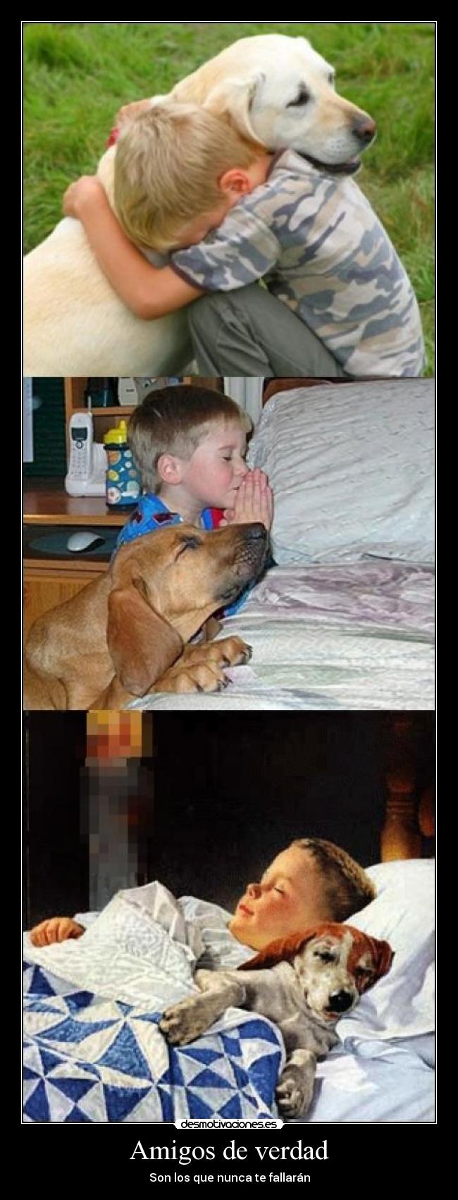 Amigos de verdad -