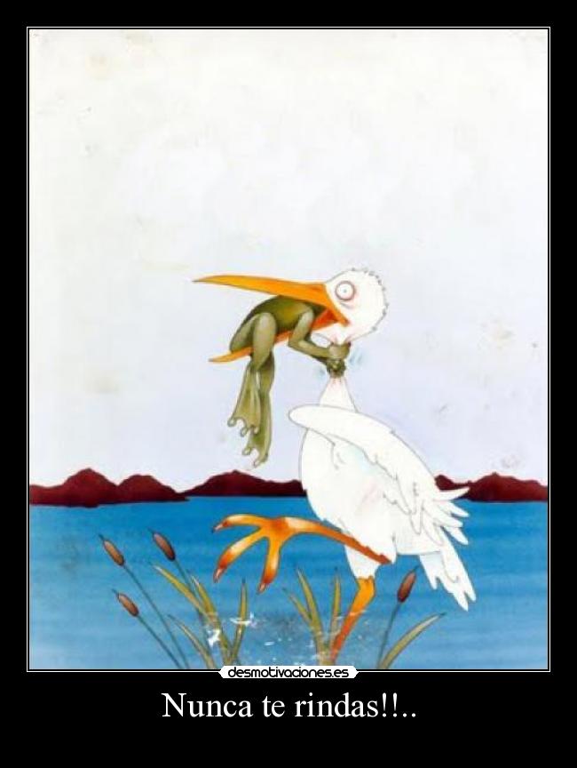 Nunca te rindas!!.. -