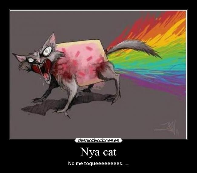 Nya cat - 