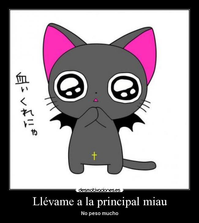 Llévame a la principal miau - No peso mucho
