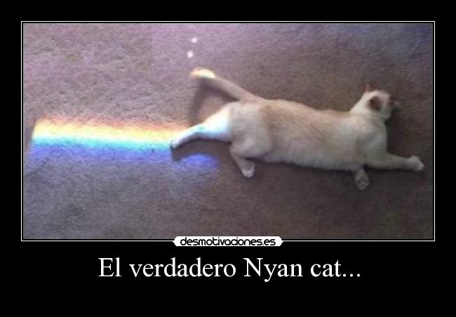El verdadero Nyan cat... -