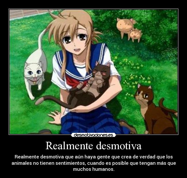 Realmente desmotiva - Realmente desmotiva que aún haya gente que crea de verdad que los
animales no tienen sentimientos, cuando es posible que tengan más que
muchos humanos.