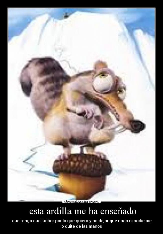  esta ardilla me ha enseñado - 