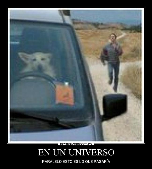EN UN UNIVERSO -