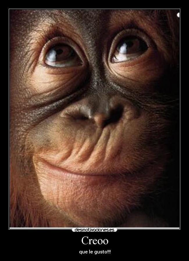 Creoo - que le gusto!!!