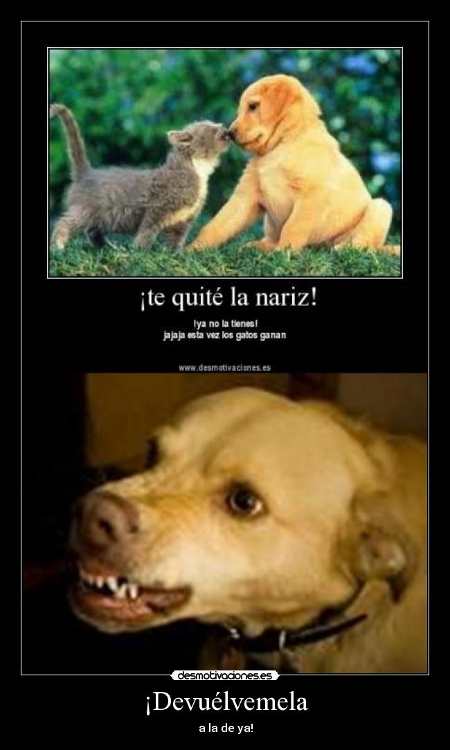 ¡Devuélvemela -