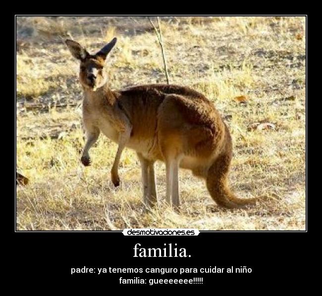 familia. - padre: ya tenemos canguro para cuidar al niño
familia: gueeeeeee!!!!!