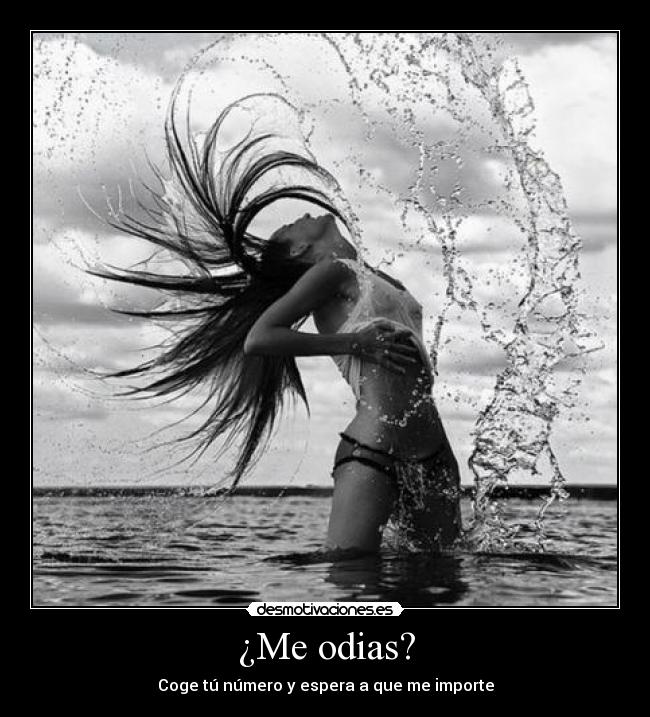 ¿Me odias? - Coge tú número y espera a que me importe